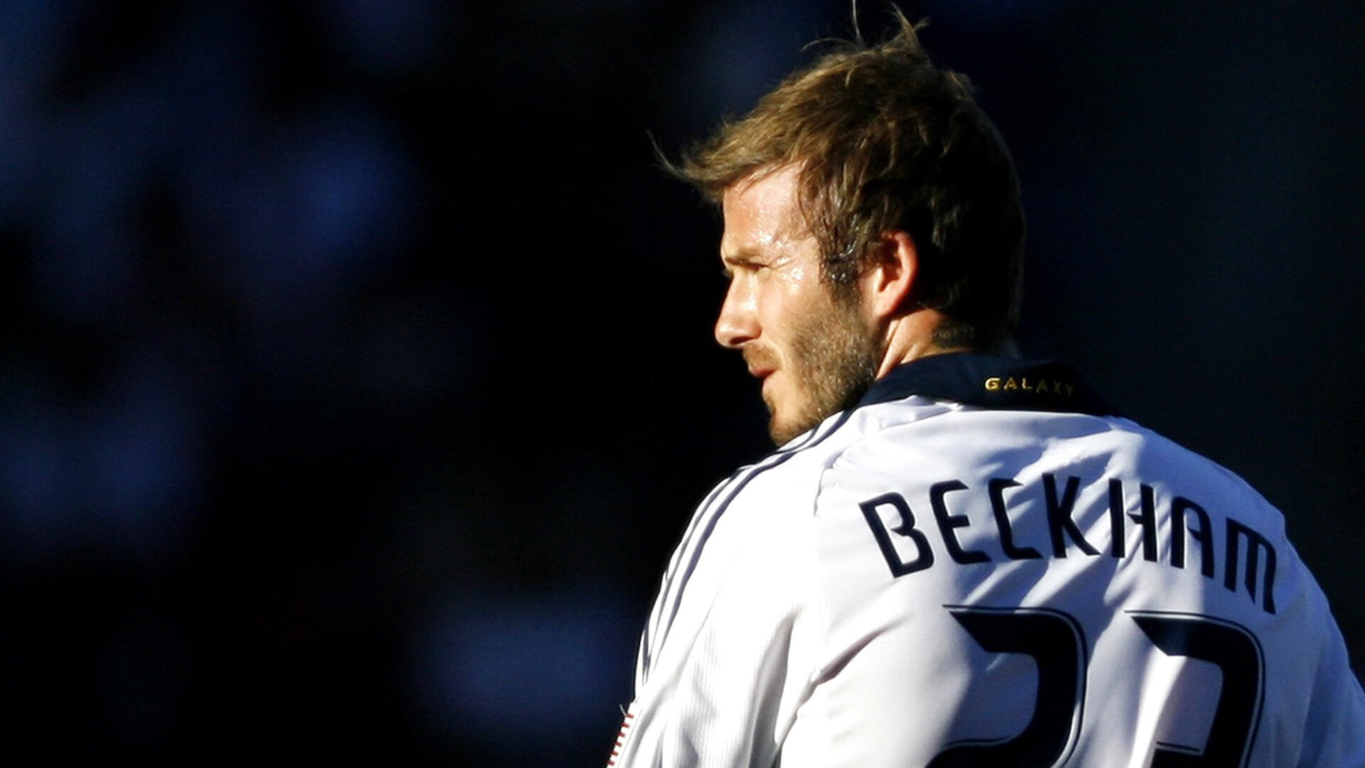 Preda积分提升 布局未来高跃