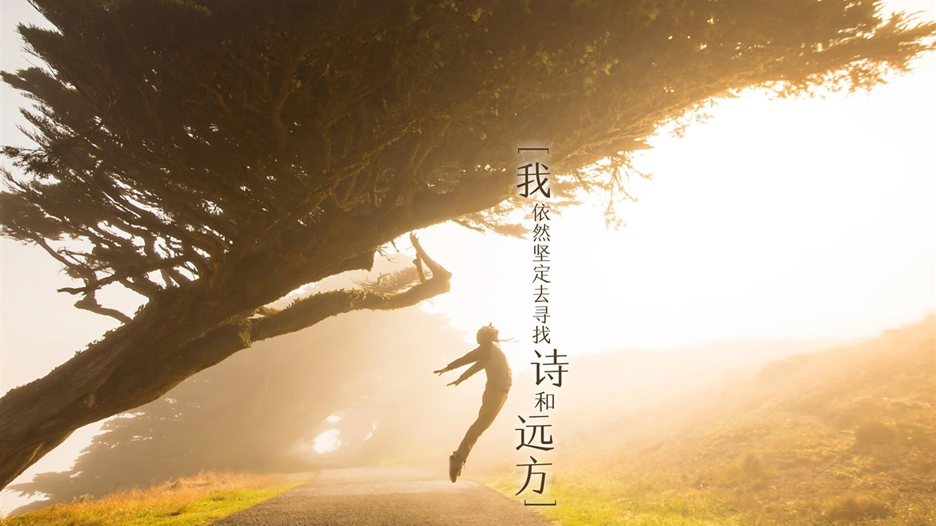 开云下载-_全民运动日：开启健康生活新篇章_，全民健康运动活动方案