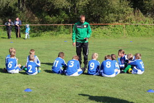 开云体育在线登入-德甲战术大变：变化迅速，精彩纷呈，德甲赛制介绍